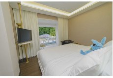 داش بريميوم مطلة على حمام السباحة